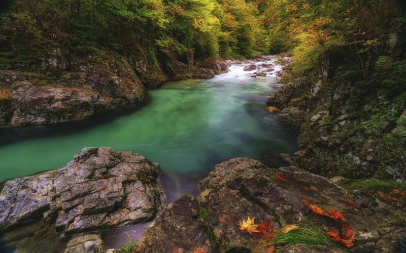 k, valley, 4K, hd, japan, tranquility, forest, scenics - nature, outdoors, idyllic, nagano, tranquil scene, solid, motion, rock, laptop, river, desktop