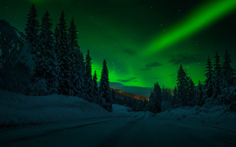 stars, polar, laptops, norway, hd, winter, lights, phones, desktop, night, trees, photography, snow, landscape, 4K, mobile, sky, road