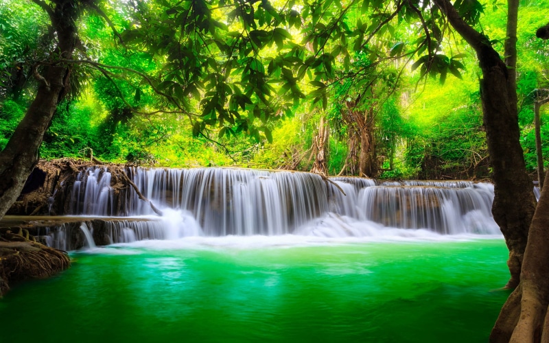 falling water, kanchanaburi, land, no people, green, plant, scenics - nature, thailand, environment, waterfall, tablet, laptop, motion, growth, river, flowing water