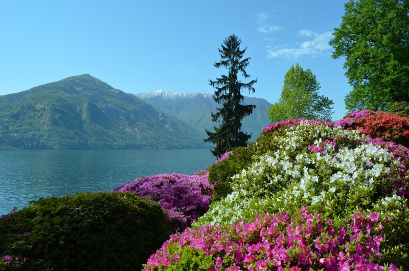 nature, body, summer, 4K, outdoors, lake, sky, di, scenics, water, garden, landscape, lago, body of water, Tremezzo, flower garden, Como Lake, journey