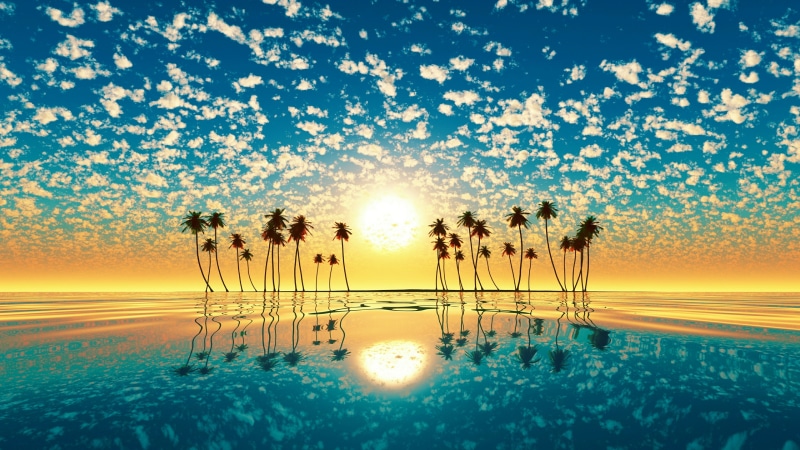sunset, pc, orange, clouds, white, water, desktop, hd, 4K, trees, horizon, mobile, tablet, sky, palm, ocean, reflection