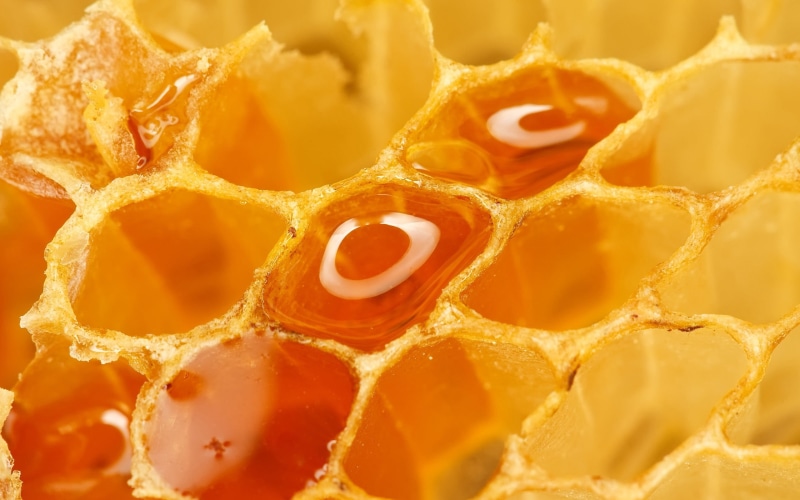 2K, studio shot, still life, no people, orange color, fruit, freshness, dessert, textured, honeycombs, pattern, indoors, healthy eating, backgrounds, sweet food