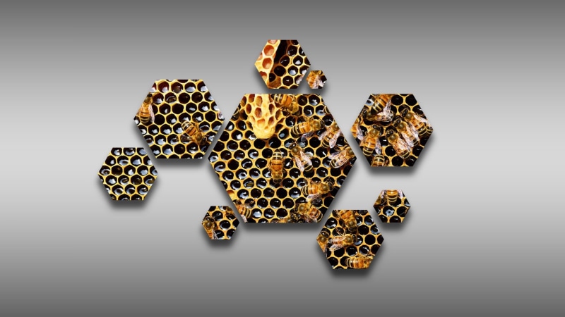 beecube, beehive, honey, bees, hive, honeycombs, 1080P, hexagon
