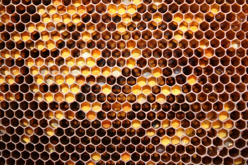 yellow, 2K, nature, no people, black, beehive, industry, black color, backgrounds, honey, full frame, equipment, metal, insect, hexagon, may honey, bee