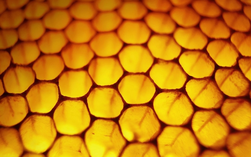 honeycomb, selective focus, shape, design, no people, yellow, indoors, geometric shape, macro, textile, red, honey, nature, repetition, full frame, honeycombs