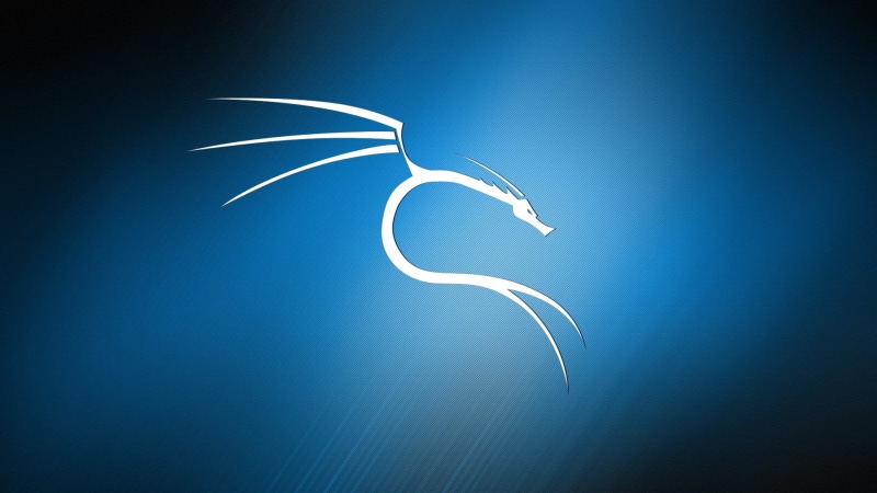 1080P, blue background, dragon, Linux, texture, abstract, Kali Linux