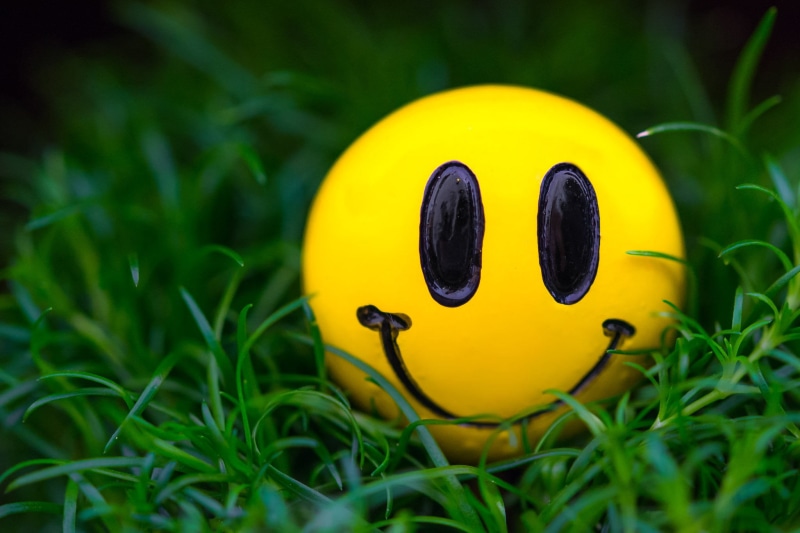 outdoors, yellow, land, animal representation, emoji, 1080P, smile, anthropomorphic smiley face, macro, ball, day, smiley, flower, representation, grass