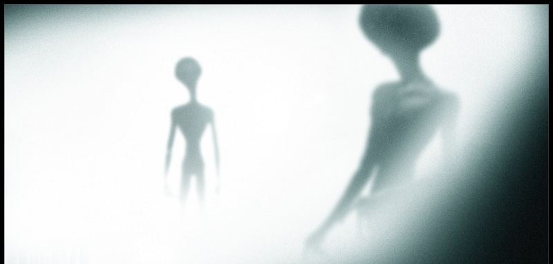 people, 2K, back lit, horror, poster, focus on shadow, aliens, standing, silhouette, transparent, alien, spooky, violence, mystery, women, adult, crime