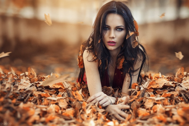 dress, s, flowers, hairstyle, model, cute, women, depth of field, fashion Model, red, change, brown hair, portrait, brown, human Face, nature, leaves, young women