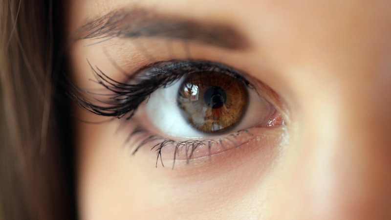 beautiful woman, young women, eyes, brunette, teenager, one person, adult, iris - eye, closeup, reflection, human eye, Markéta Stroblová, eyesight, brown eyes