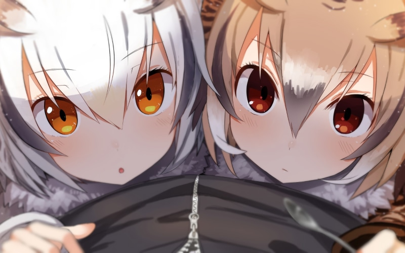 Eurasian Eagle Owl (Kemono Friends), spoon, point of view, multi-colored hair, orange eyes, depth of field, Northern White-Faced Owl (Kemono Friends), Kemono Friends