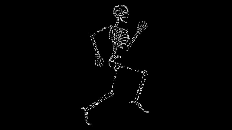 simple background, medicine, indoors, human representation, studio shot, representation, white, human skeleton, metal, copy space, 1080P, black background