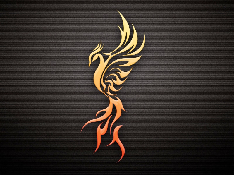 Phoenix, profile, bird, 4K, the dark background