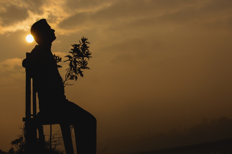 royalty, one person, orange color, representation, sun, beauty in nature, copy space, architecture, sunset, plant, nature, tree, 4K, morning, foggy morning