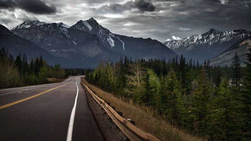 journey, tree, blue, banff National Park, direction, diminishing perspective, scenics, valley, extreme Terrain, no People, mountain Range, jasper National Park