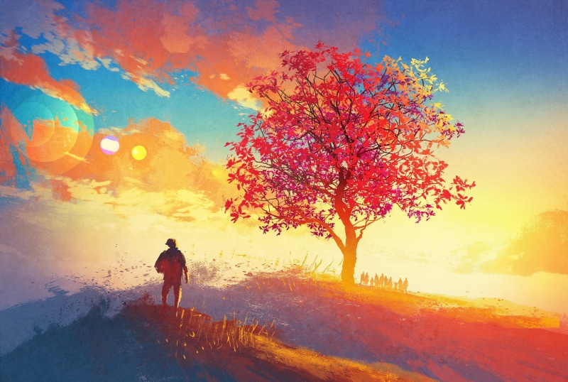real people, sunset, sunrise, forest, rural Scene, plant, standing, scenics - nature, landscape, graphics, sun, lifestyles, sky, tree, people, red leaves