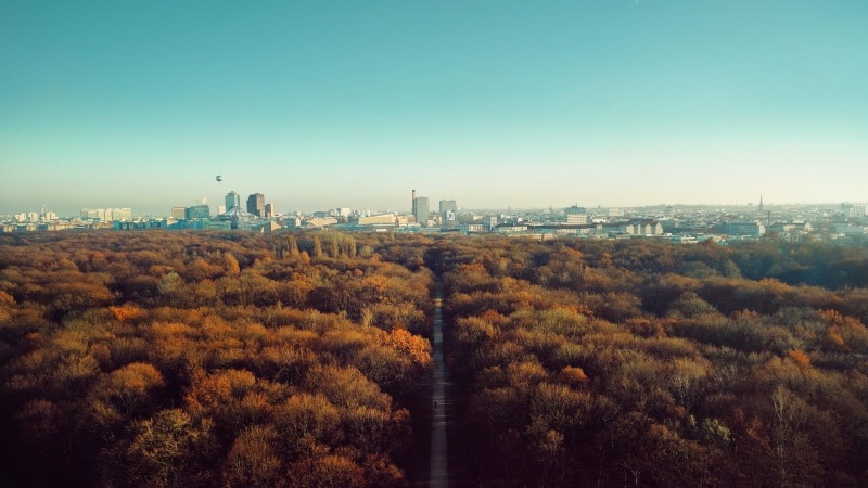 moscow, hot air balloons, travel, clear sky, copy space, nature, sunlight, dusk, town, buildings, day, plant, straight, sunset, famous Place, scenics, 1080P