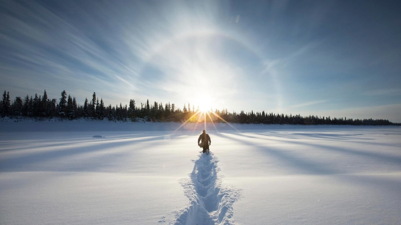 place, sky, sunlight, sport, 1080P, scenics - nature, white color, walking, cold temperature, covered, snow, environment, beauty in nature, winter, forest