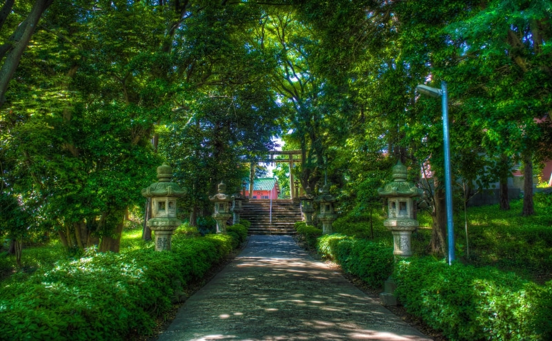 Landscape, Mikawa, toro, diminishing perspective, towards, direction, Aperture, nature, 4K, lush foliage, land, Chubu, architecture, Shinto, stone lantern