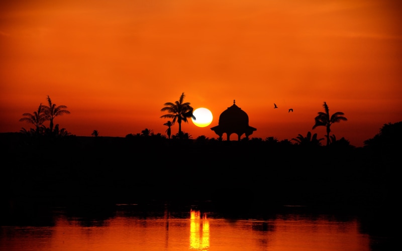 sunset, silhouette, 4K, river, palm trees, the Nile River towards Assuan, Egypt