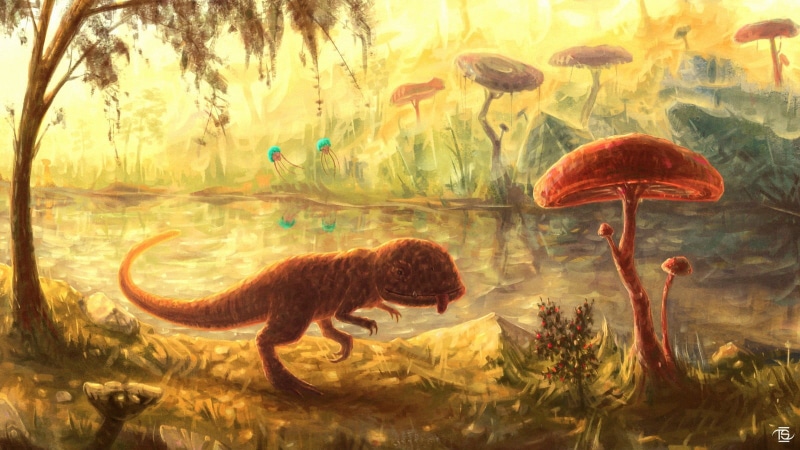 t, aquarium, trees, digital art, vertebrate, tank, animal wildlife, animal themes, marine, plant, transparent, fan art, fish, no people, The Elder Scrolls III: Morrowind