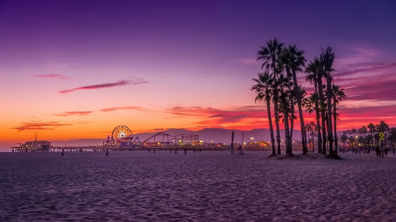 sea, palm, sunset, palm trees, beach, scenics - nature, dusk, sky, cloud - sky, nature, travel destinations, digital, water, architecture, tree