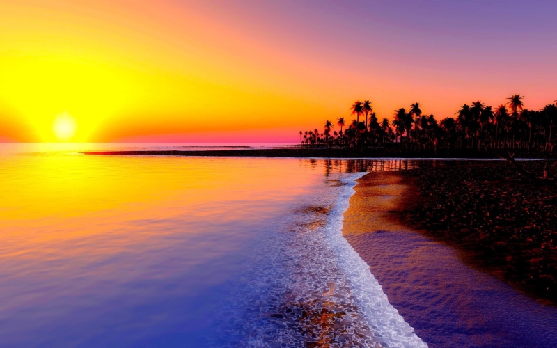 sea, palm trees,  tropics, trees, sand, tropics, beach, palm, 1080P, sunset