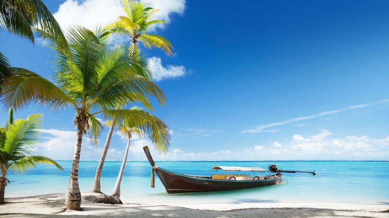 4K, Sea, Beach, Trees, Palms, Boat, Thailand
