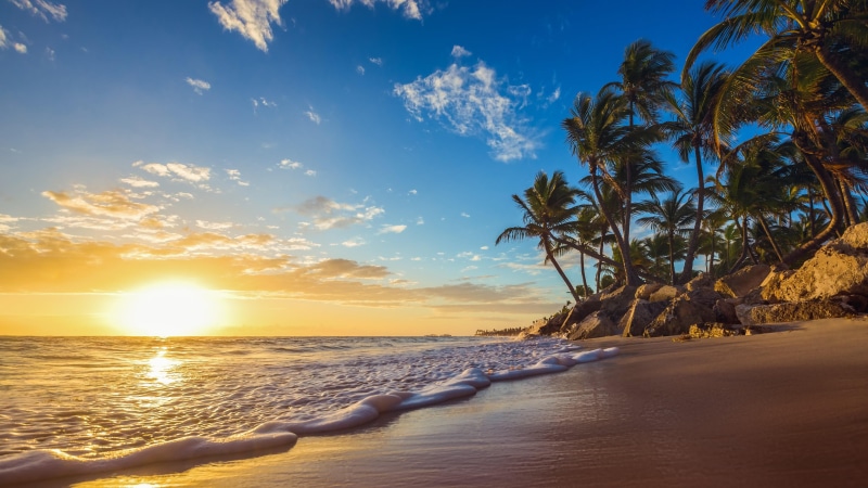 horizon, sky, palm tree, summer, 4K, tropics, coast, sand, sea, caribbean, wave, shore, ocean, foam, sandy beach, arecales, sunrise, palms, morning, beach