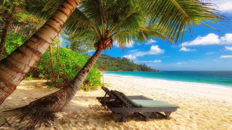ocean, caribbean, beach, palm tree, 4K, mahé, vacation, shore, tropics, tree, sky, sea, seychelles, coast