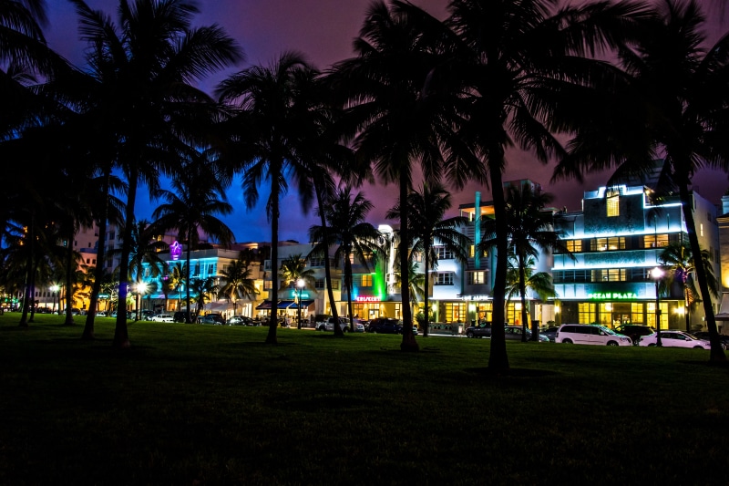 florida - Usa, palm trees, palm Tree, tourist, no people, blue, architecture, cars, grass, park - man made space, summer, tourism, dusk, night, park, florida