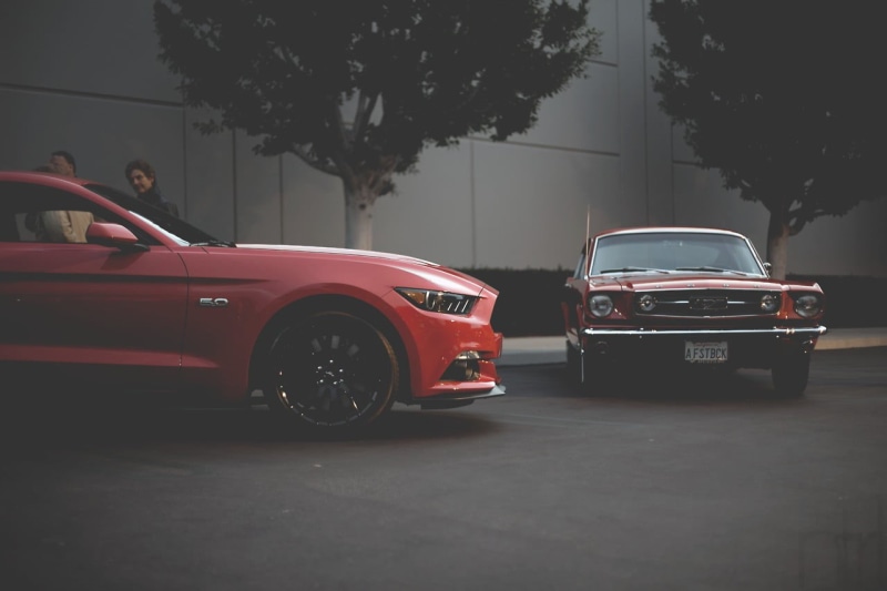 land vehicle, plant, ford mustang 1969, vehicle, ford, on the move, mustang, outdoors, 720P, coupe, city, motion, architecture, Ford Mustang, car, transportation