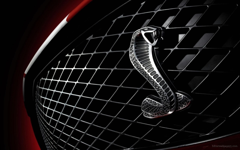 1080P, shelby, cobra, cars, emblem, ford, gt500, gt, mustang