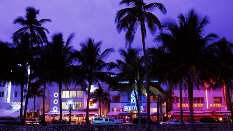 palm trees, 1080P, cityscape, Miami Beach, Miami
