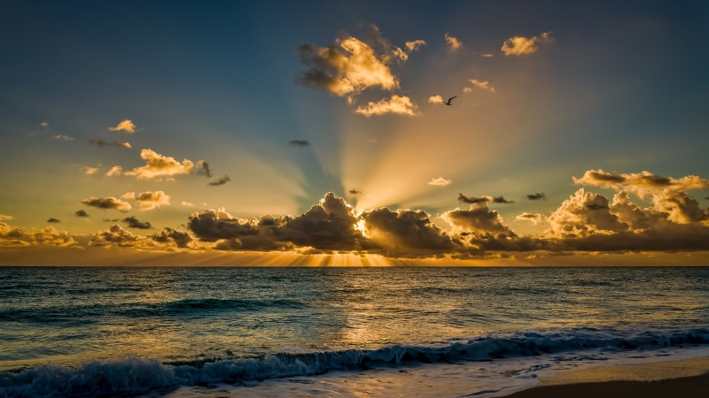 beauty in nature, horizon over water, backgrounds, no people, beach, dark, orange color, outdoors, land, sea, desktop, motion, rays, tranquil scene, wave