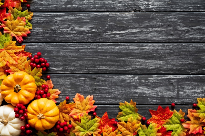 wood, background, colorful, autumn, pumpkin, Board, leaves, maple, 5K