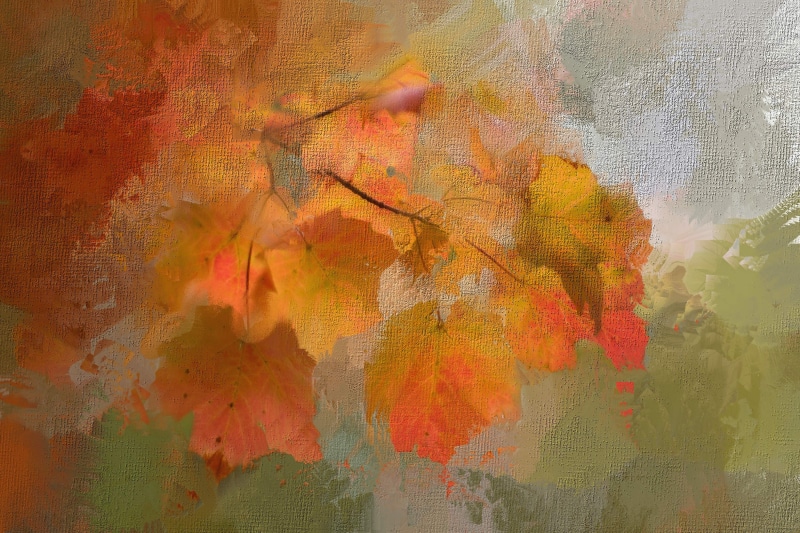 creativity, oil painting, textured, 2K, colors, wall - building feature, paint, no people, yellow, multi Colored, textured effect, leaves, painted, full frame