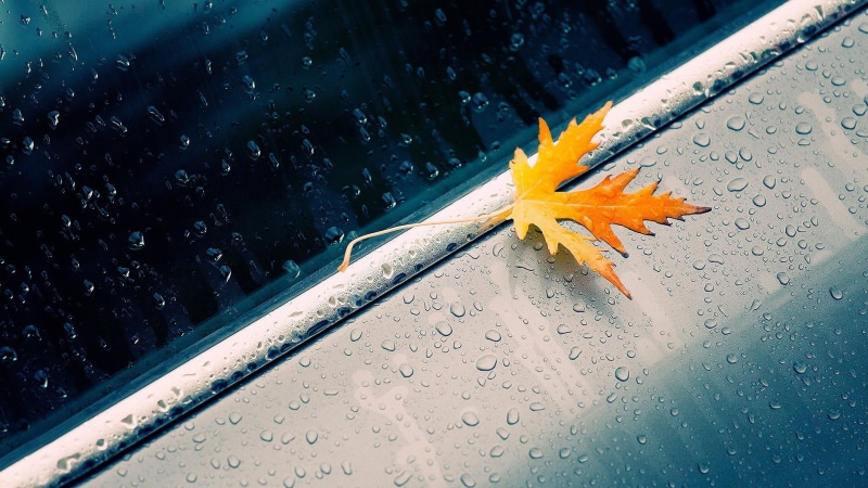 transportation, backgrounds, top, surface, rain, brown, beach, metal, outdoors, travel, vehicle interior, orange color, droplets, fall, nature, sea, summer