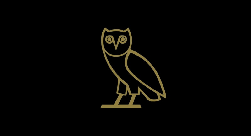 1080P, animal, kitten, pets, dark, spooky, halloween, night, warning sign, information, bone, black background, owl, indoors, vector, logo, black Color
