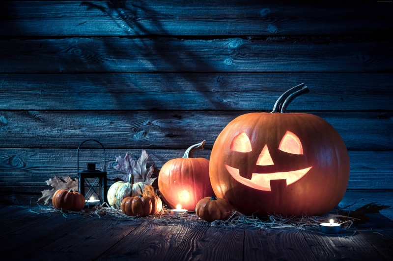 5K, pumpkin host, Halloween, 31 october, Holiday