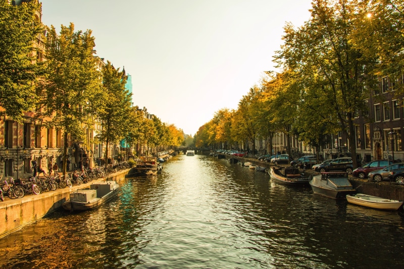 boat, treelined, nature, transportation, october, Amsterdam, clear sky, no people, nautical vessel, tree, Netherlands, built structure, city, waterfront