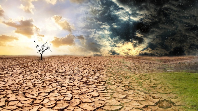environment, sky, wood, tranquility, landscape, outdoors, weather changes, scenics - nature, wood - material, changes, arid climate, nature, 1080P, rain