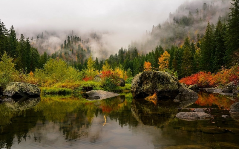 scenics - nature, no people, red, change, nature, outdoors, yellow, beauty in nature, 1080P, waterfront, fall, pine trees, water, tranquil scene, mist