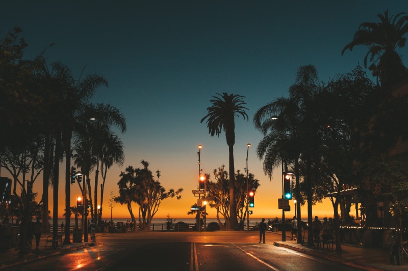 plant, tree, 5K, street sign, orange color, illuminated, treelined, night time, street, lighting equipment, night lights, dusk, red light, horizon, dawn