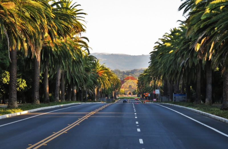 4K, no people, nature, diminishing perspective, motor vehicle, direction, outdoors, stanford university, road, palm tree, sky, road marking, day, symbol