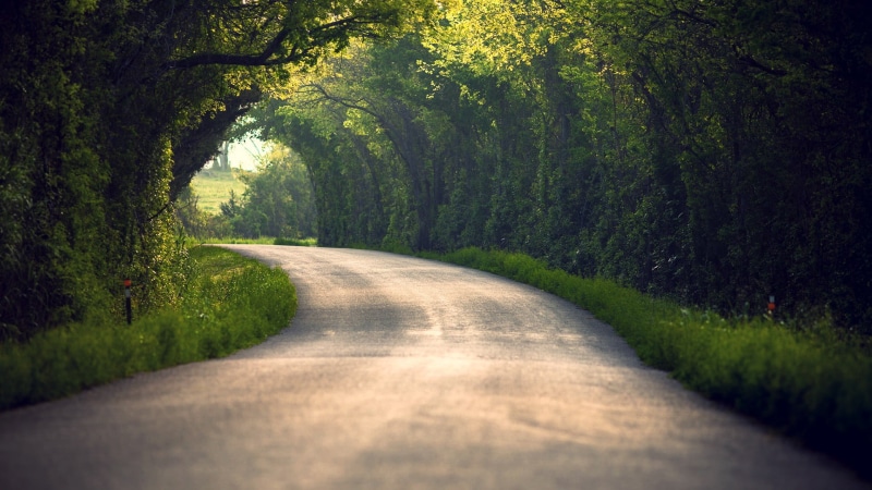 non-Urban Scene, green Color, pavement, meadow, day, tranquil Scene, grass, hill, travel, the way forward, morning, lane, tranquility, plant, gray, tunnel