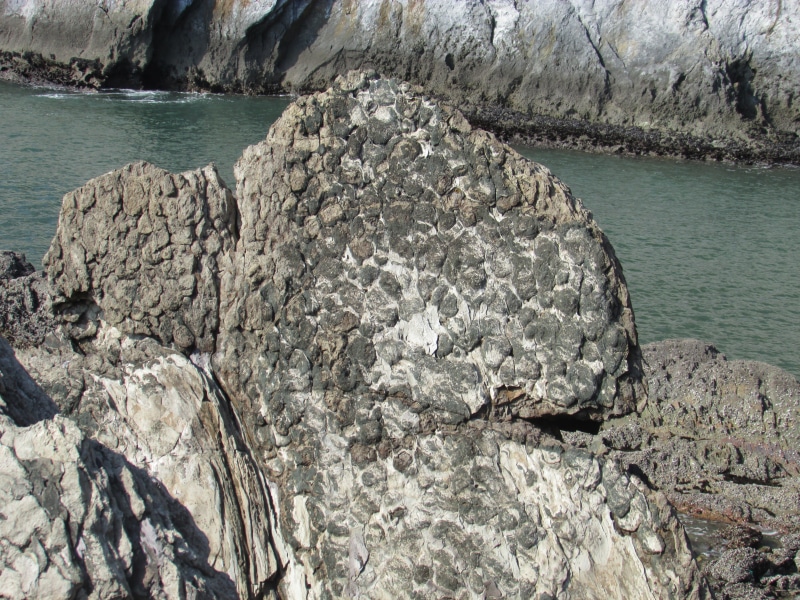 rock - object, solid, fossil, outdoors, nature, eroded, sea, stromatolites, day, scenics - nature, high angle view, 4K, textured, small global, rock, no people