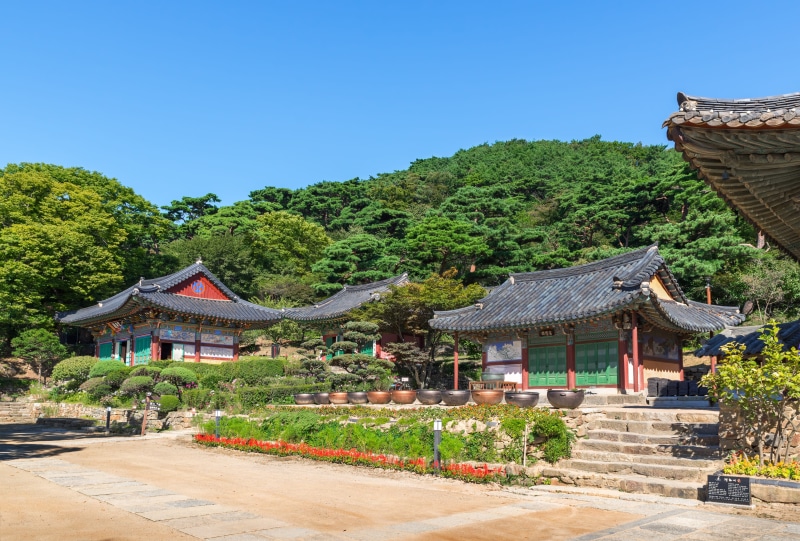 september, religion, eaves, building exterior, no people, 4K, built structure, plant, sky, outdoors, roof tile, incheon, mono, blue sky, mountain, buddhism