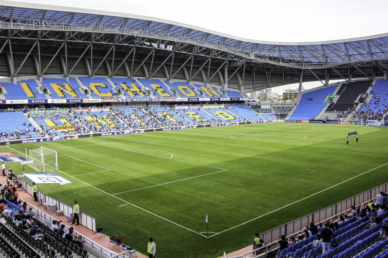 grass, sports Race, american Football - Sport, team Sport, arena, sports Venue, high angle view, sports Track, 5K, turf, crowd, outdoors, animal Sport