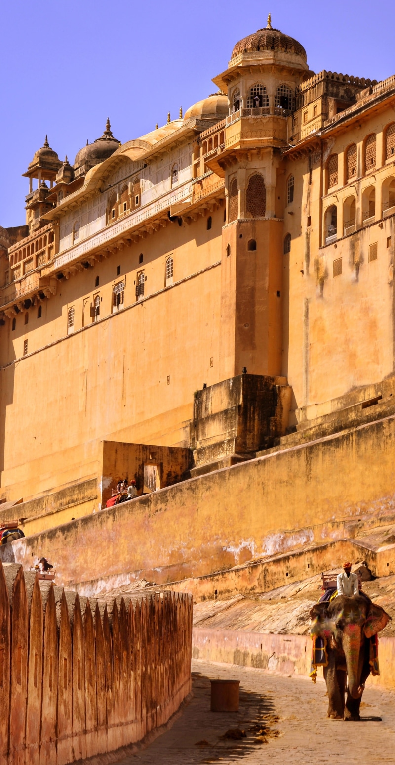 tourist, rajasthan, elephant, building exterior, travel destinations, clear sky, amer, sunlight, jaipur, ancient history, facade, outdoors, 4K, city, fort